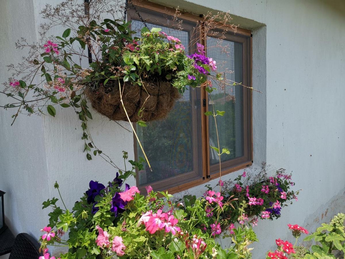 Guest House Albena Durankulak Exterior foto