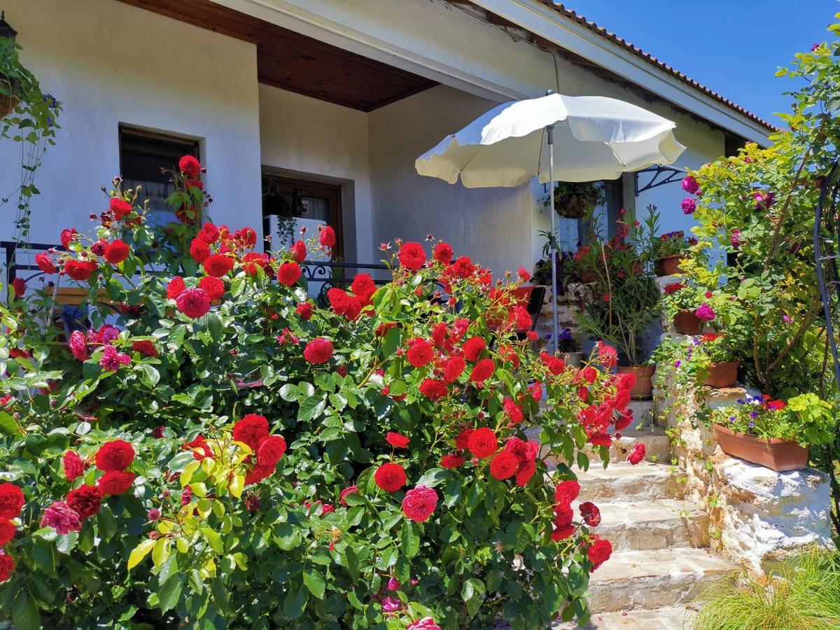 Guest House Albena Durankulak Exterior foto